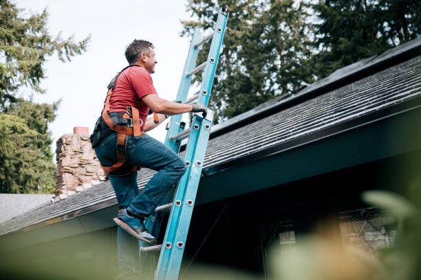 Best Gutter Installation and Repair  in Houghton, NY